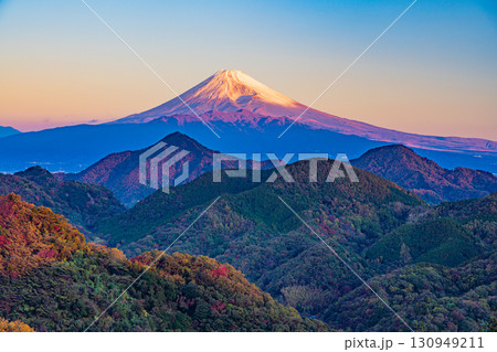 【静岡県】伊豆の国・葛城山から富士山 モルゲンロート 【静岡県】伊豆の国・葛城山から富士山 モルゲンロート 130949211