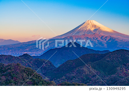 【静岡県】伊豆の国・葛城山から、朝日に照らされた富士山 130949295