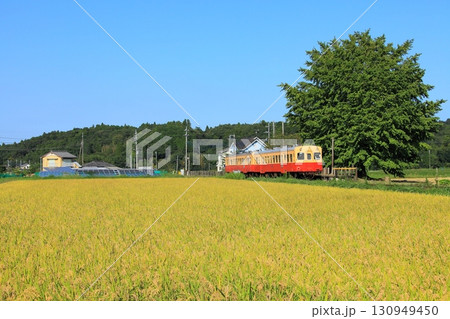 田んぼに囲まれた上総久保駅に停車するキハ200 田んぼに囲まれた上総久保駅に停車するキハ200 130949450
