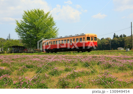 レンゲ畑に囲まれた上総久保駅を発車するキハ200 レンゲ畑に囲まれた上総久保駅を発車するキハ200 130949454