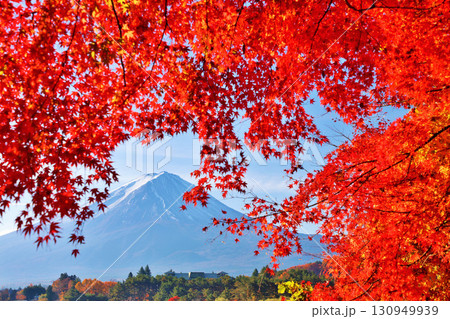秋の紅葉と富士山 秋の紅葉と富士山 130949939