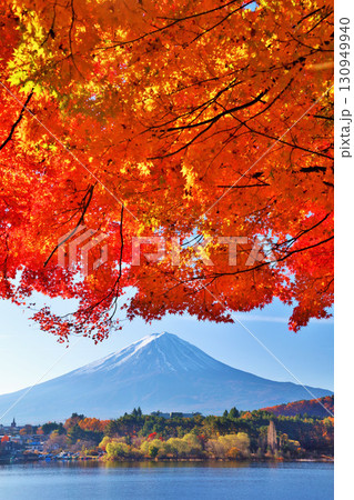 秋の紅葉と富士山 130949940