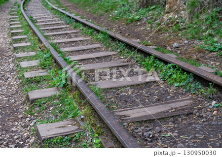 Railway Tracks Forest Ground Nature: A close-up of railway tracks in a forest, showcasing the wooden sleepers and the ground. 130950030