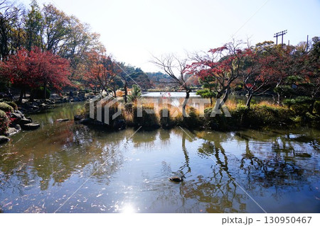こども自然公園 こども自然公園 130950467