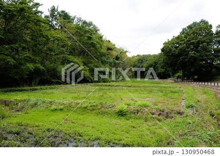 里山ガーデン 130950468