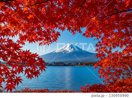 富士山と紅葉｜秋の絶景・日本の観光名所・四季を感じる風景写真 130950990