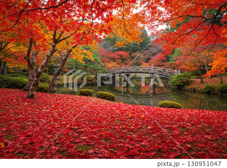 日本庭園の紅葉と橋｜秋の絶景・観光スポット・紅葉名所に使えるフリー素材写真 130951047