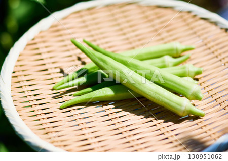 ホワイトオクラ 竹ざるに盛られた新鮮な野菜 ホワイトオクラ 竹ざるに盛られた新鮮な野菜 130951062