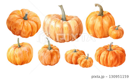 Watercolor illustration of various pumpkins in different sizes showcasing vibrant orange hues and natural textures. Isolated on transparent background. PNG, cutout 130951159