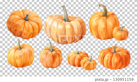 Watercolor illustration of various pumpkins in different sizes showcasing vibrant orange hues and natural textures. Isolated on transparent background. PNG, cutout 130951159