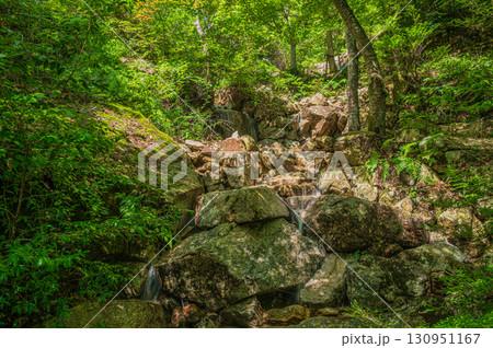 大津市北小松の渓流　楊梅の滝下流　滋賀県 130951167