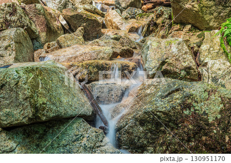 大津市北小松の渓流 楊梅の滝下流 滋賀県 大津市北小松の渓流 楊梅の滝下流 滋賀県 130951170