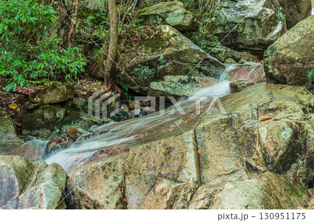 岩の上を流れ落ちる渓流　楊梅の滝下流　滋賀県 130951175