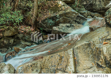 岩の上を流れ落ちる渓流　楊梅の滝下流　滋賀県大津市北小松 130951176