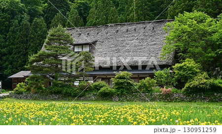 五箇山岩瀬家の春景色 五箇山岩瀬家の春景色 130951259