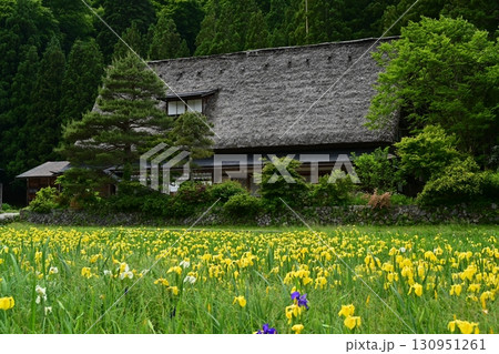 五箇山岩瀬家の春景色 130951261