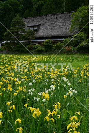 五箇山岩瀬家の春景色 130951262