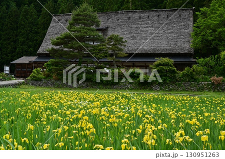 五箇山岩瀬家の春景色 130951263