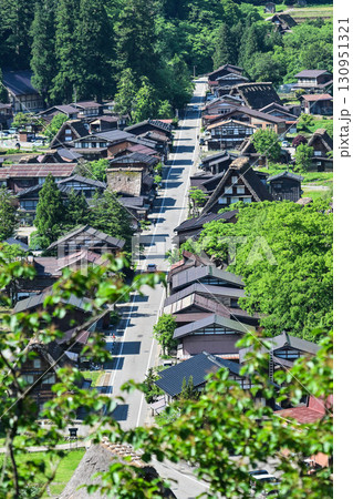 緑が美しい春の白川郷 緑が美しい春の白川郷 130951321