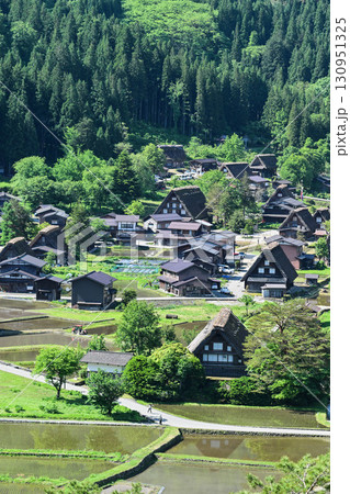 緑が美しい春の白川郷 緑が美しい春の白川郷 130951325