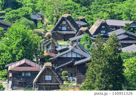 緑が美しい春の白川郷 130951326