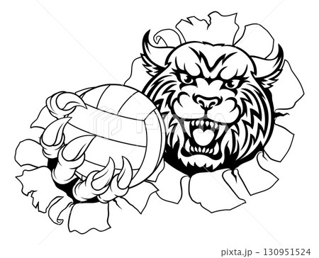 Wildcat Cougar Lynx Lion Volleyball Claw Mascot 130951524