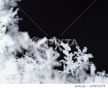 natural snowflakes on snow. the picture is made at a temperature of-10 C  130952478