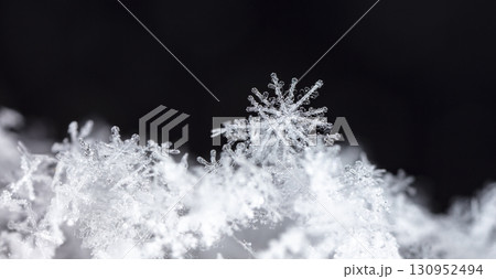 natural snowflakes on snow. the picture is made at a temperature of-10 C natural snowflakes on snow. the picture is made at a temperature of-10 C 130952494