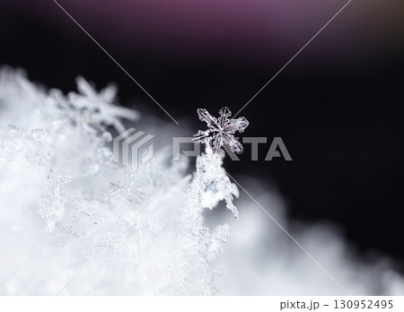 natural snowflakes on snow. the picture is made at a temperature of-10 C  130952495