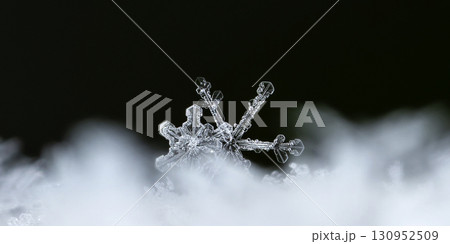 natural snowflakes on snow. the picture is made at a temperature of-10 C natural snowflakes on snow. the picture is made at a temperature of-10 C 130952509