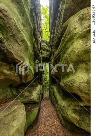 Beautiful green forest Hiking path with Sandstone chalk rock formations in Berdorf Mullerthal Luxembourg 130952547