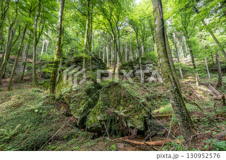 Beautiful green forest Hiking path with Sandstone chalk rock formations in Berdorf Mullerthal Luxembourg 130952576