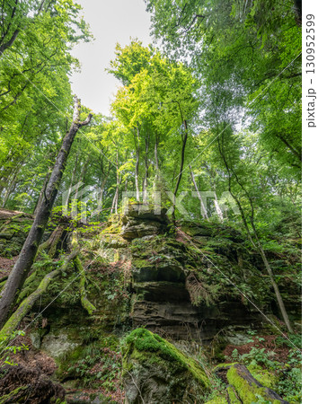 Beautiful green forest Hiking path with Sandstone chalk rock formations in Berdorf Mullerthal Luxembourg Beautiful green forest Hiking path with Sandstone chalk rock formations in Berdorf Mullerthal Luxembourg 130952599