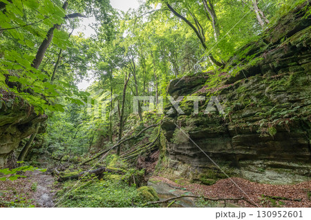 Beautiful green forest Hiking path with Sandstone chalk rock formations in Berdorf Mullerthal Luxembourg 130952601