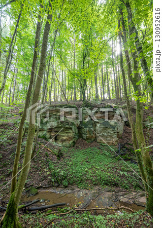 Beautiful green forest Hiking path with Sandstone chalk rock formations in Berdorf Mullerthal Luxembourg 130952616