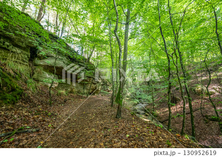 Beautiful green forest Hiking path with Sandstone chalk rock formations in Berdorf Mullerthal Luxembourg 130952619