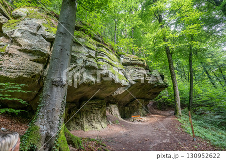 Beautiful green forest Hiking path with Sandstone chalk rock formations in Berdorf Mullerthal Luxembourg Beautiful green forest Hiking path with Sandstone chalk rock formations in Berdorf Mullerthal Luxembourg 130952622