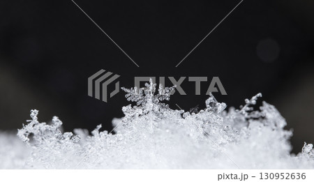 snowflakes, winter card, crystals of snow snowflakes, winter card, crystals of snow 130952636