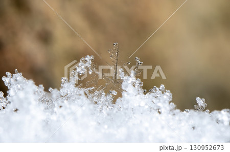 snowflakes, winter card, crystals of snow snowflakes, winter card, crystals of snow 130952673
