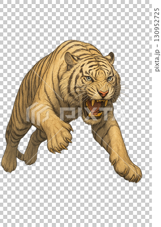 飛びかかる白虎 飛びかかる白虎 130952725
