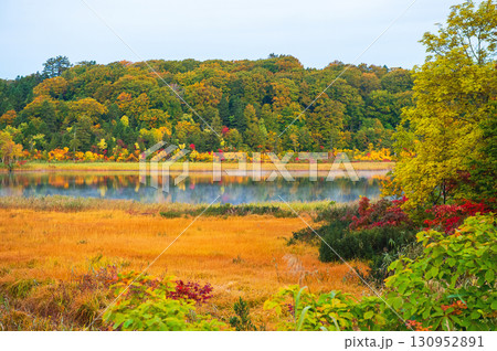 秋の八幡平大沼 朝 秋田県 秋の八幡平大沼 朝 秋田県 130952891