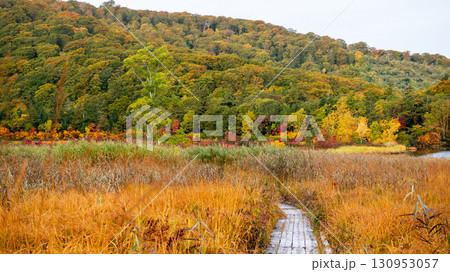 清々しい朝 秋の八幡平大沼 秋田県 清々しい朝 秋の八幡平大沼 秋田県 130953057