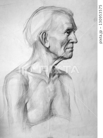 pencil drawing illustration, portrait, sketch 130953575