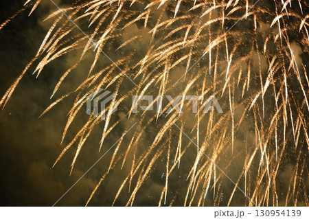 花火の光 花火の光 130954139