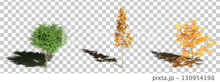 large tree with a shadow under it, isolated on a transparent background, 3D illustration, cg render large tree with a shadow under it, isolated on a transparent background, 3D illustration, cg render 130954198