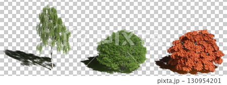 large tree with a shadow under it, isolated on a transparent background, 3D illustration, cg render 130954201