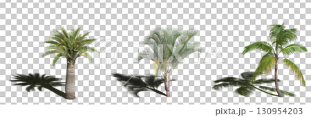 large tree with a shadow under it, isolated on a transparent background, 3D illustration, cg render large tree with a shadow under it, isolated on a transparent background, 3D illustration, cg render 130954203