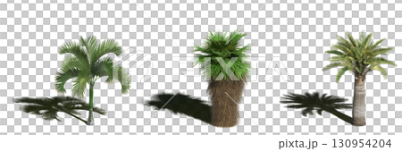 large tree with a shadow under it, isolated on a transparent background, 3D illustration, cg render large tree with a shadow under it, isolated on a transparent background, 3D illustration, cg render 130954204