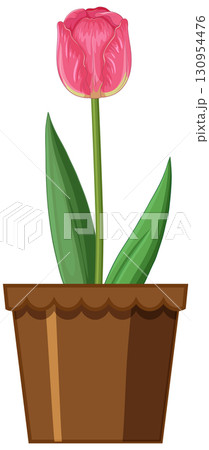 Pink Tulip in Brown Pot Vector Illustration Pink Tulip in Brown Pot Vector Illustration 130954476