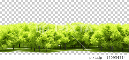 tree, isolated, branch, large, nature, plant, background, garden, forest, stem, summer, transparent, green, environment,  foliage, shadow, big, leaf, season, wood, object, natural, single, silhouette, 130954514